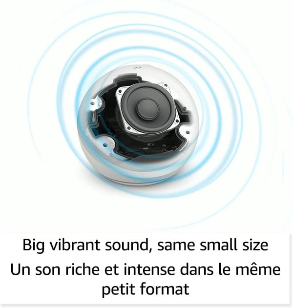 51nU4VeUfUL._AC_SL1000_.jpg