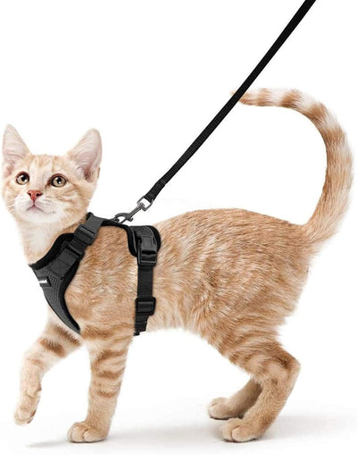 Comfy Cat Harness & Leash