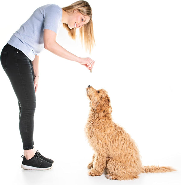 71GZq+eJ53L._AC_SL1500_.jpg