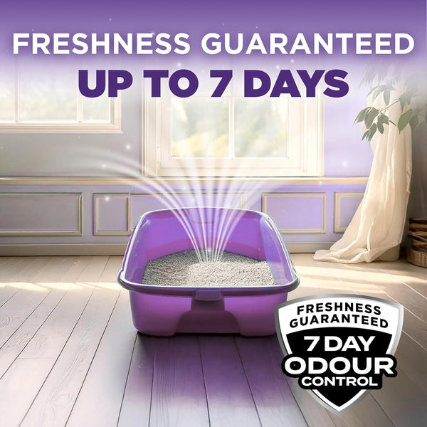 Effortless Clean Cat Litter